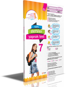 7. sınıf